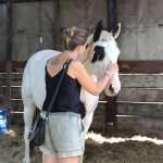 Laurence en communication animale avec Étoile une jument blanche et noire. Les mains de Laurence posées sur le front d'Étoile
