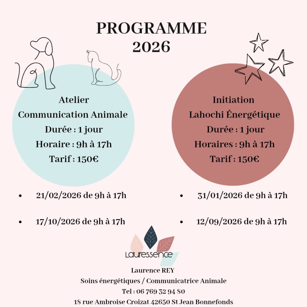 Programme des formations que Laurence de Lauressence propose sur 2026